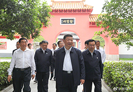 我想看操必大全习近平：进一步发展中医药